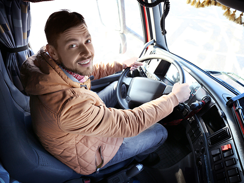 Řidič n&aacute;kladn&iacute; dopravy